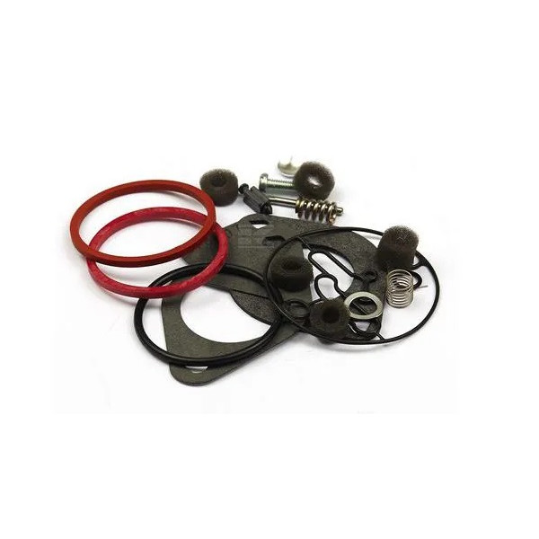 Kit de réparation carburateur 796184 BRIGGS ET STRATTON