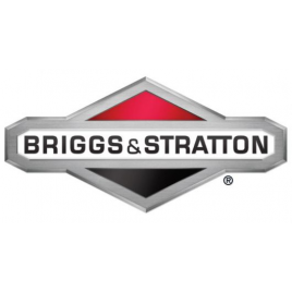 Constructeur BRIGGS ET STRATTON