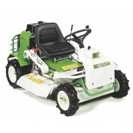 ETESIA AK85